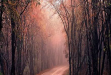 开云体育官方网站-曼联防守体系升级，迎接关键战