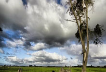 开云体育下载-精彩不断，欧洲杯强力阵容对决劲爆上演