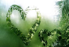 开云体育下载-精彩不断，欧洲杯强力阵容对决劲爆上演