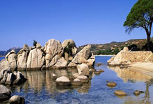 开云APP-蒙特雷球员团队氛围良好，备战世俱杯信心满满