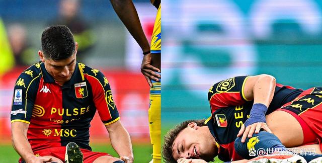 开云体育登录-关于热那亚球员因伤离场，让球队陷入困境的信息