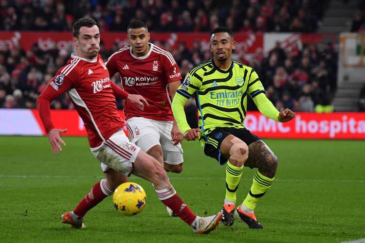 开云体育官网-纽卡斯尔遭遇迟暮，保级希望渺茫的简单介绍