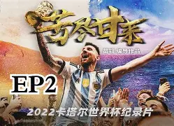 沃尔夫斯堡苦尽甘来，强弱明显一字的简单介绍