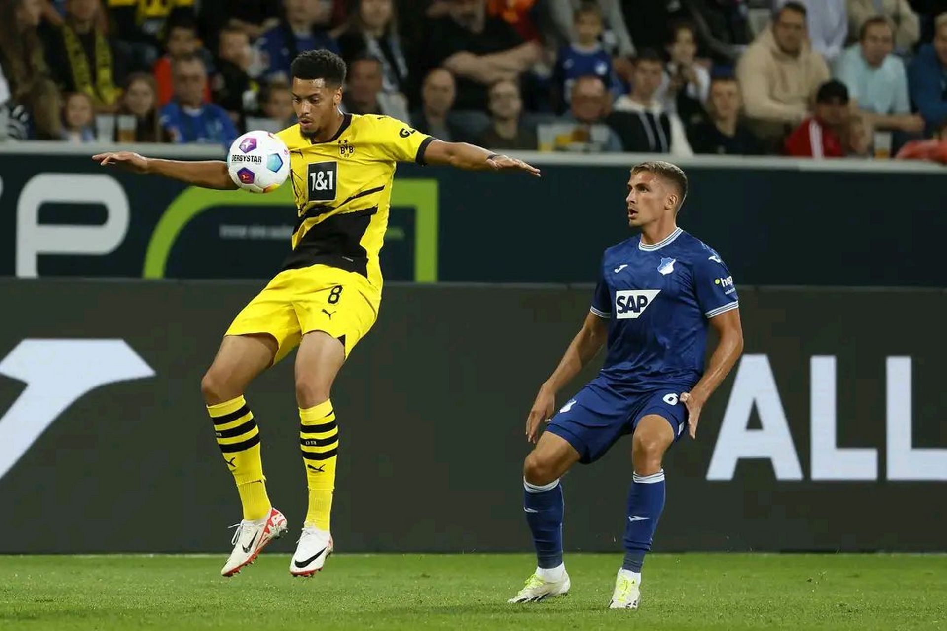 霍芬海姆与多特蒙德战绩不佳，面临危机