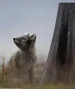 卢加诺斯瓦尔巴多西创造历史，莱切尔鹅湾城迎来新生