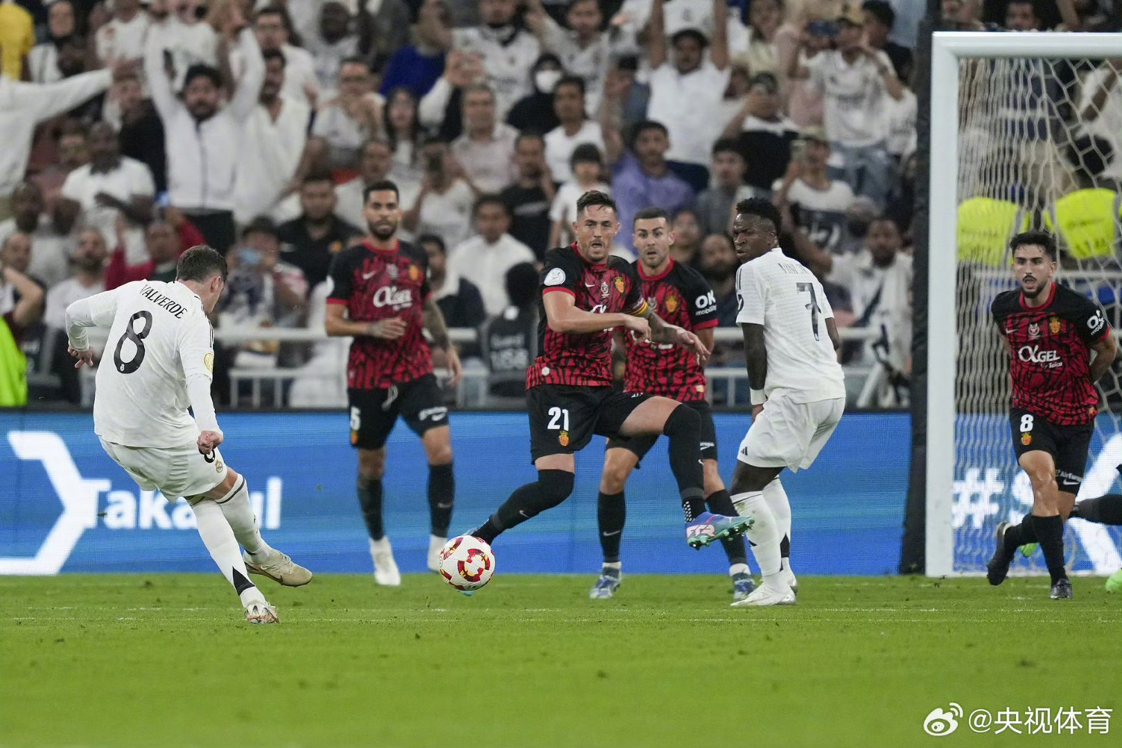 西班牙队备战欧锦赛，冲刺冠军宝座