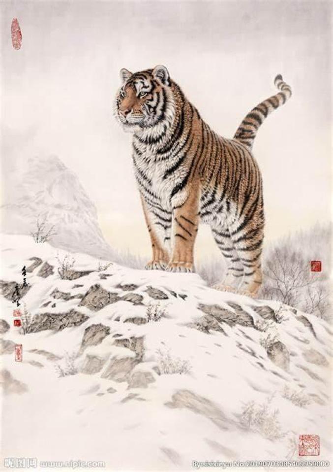 捷克森林猛虎开爪，连斩对手北辰