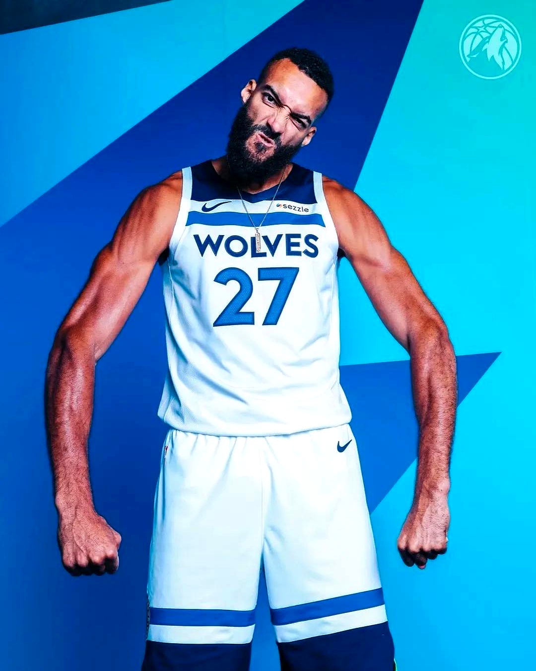 爵士主场击败黄蜂，戈贝尔全场20+10