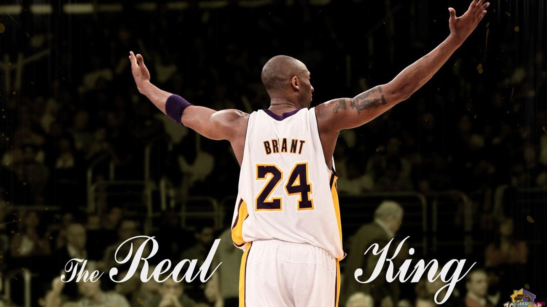 钢铁王座与秩序洪流,赖斯的硬仗哲学与巴黎的压制方程式