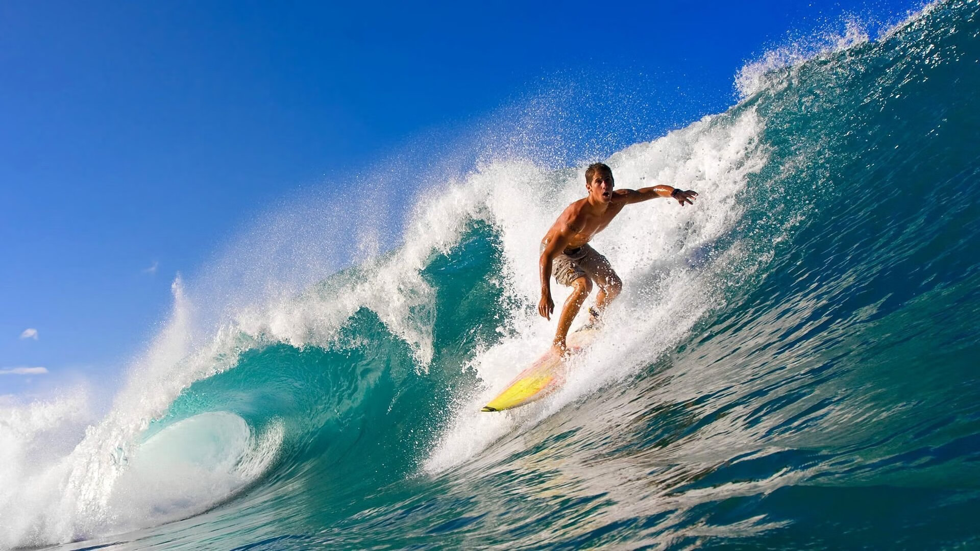 绿茵场上的铁血碾压,乒乓台前的神之一击—当团队统治力遇见个体超凡时刻